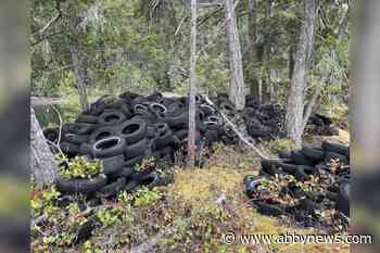 Tire pollution reduction rubber meeting the road in new B.C. partnership