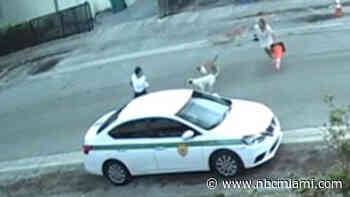 Video shows Miami-Dade employee being attacked by dogs