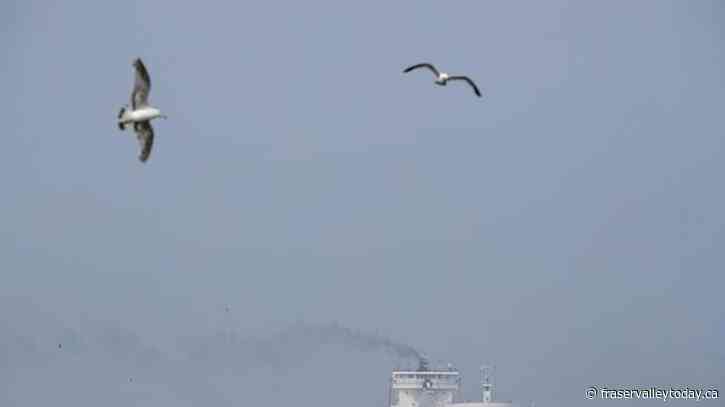 Canadian wildfires are causing unhealthy air quality again in Chicago and other parts of the US