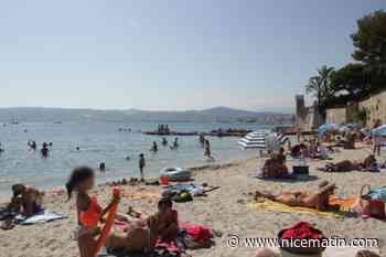 A cause d’une bactérie, la baignade est interdite sur une plage d'Antibes
