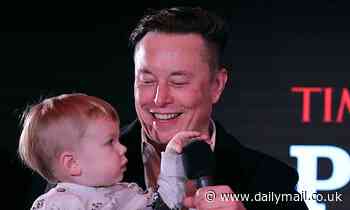 Intelligent men become fathers later in life but have more children, study finds