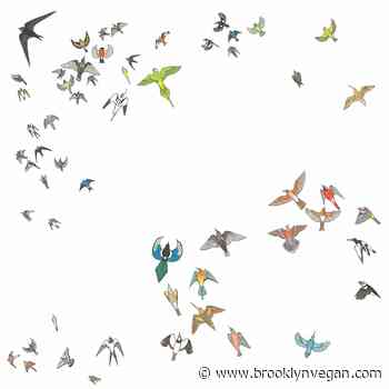 Modern Nature announce new album, share "Murmuration"