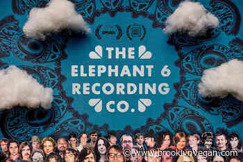 'The Elephant 6 Recording Co.' doc coming to theaters & streaming; watch new trailer