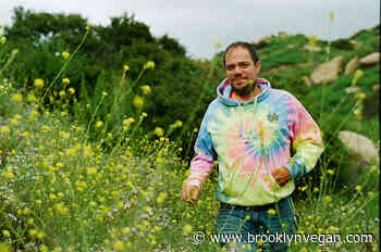 Jeff Rosenstock announces new LP 'HELLMODE' (gold vinyl & new video)