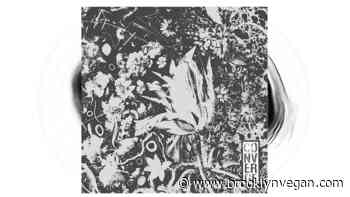 New exclusive vinyl: Converge's 'The Dusk in Us' on deluxe black in clear