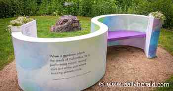 Best bets: Anita Baker, Straight No Chaser, NASCAR Chicago, Bryan Adams, Joan Jett