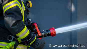 Illegales Lagerfeuer im Eichetwald löst Feuerwehreinsatz aus