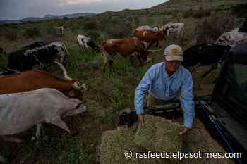 A window on the national labor shortage, from a ranch in Far West Texas