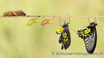 Het verandervermogen van organisaties