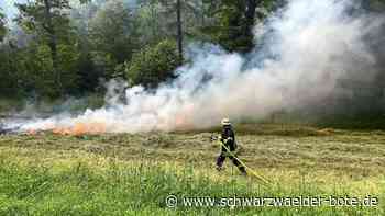 Feuer in Schwarzenberg: Flächenbrand durch glimmenden Gegenstand