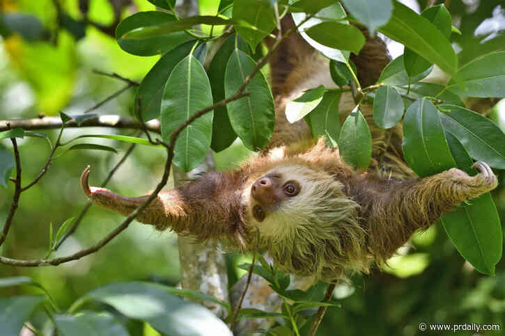 Why laziness and procrastination are secrets to PR succes