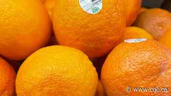 Has the Bank of Canada conquered inflation? It's complicated