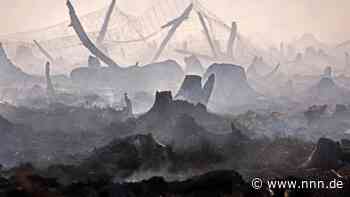 Wie es dem Göldenitzer Moor nach dem Großbrand geht