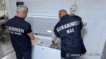 I nas sequestrano 450 chili di cibo nei ristoranti asiatici alle porte di Roma