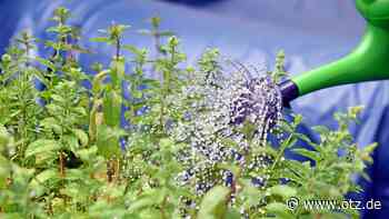 Stadt Jena beschränkt die Wasserentnahme