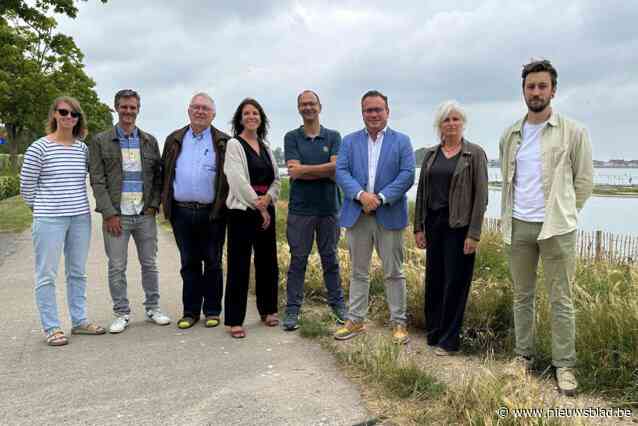 Interventielijn voor vogelgriep opgericht na 2.000 dode vogels in 1,5 week tijd: “Blijf van dode of zieke vogels af”