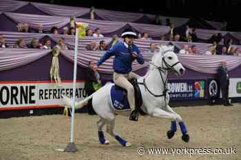National Horse Qualifiers at Ryedale Show