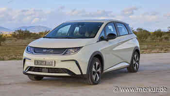 BYD Dolphin feiert 2023 Deutschland-Debüt: Günstiger als Golf und ID.3