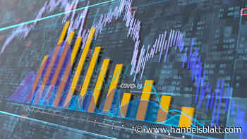 Kapitalmarktausblick: Strategen fürchten herbe Rückschläge am Aktienmarkt und raten zu defensiven Titeln
