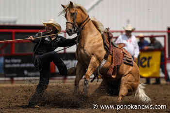 Practice makes perfect for Ty Harris on Day 2 of Ponoka Stampede