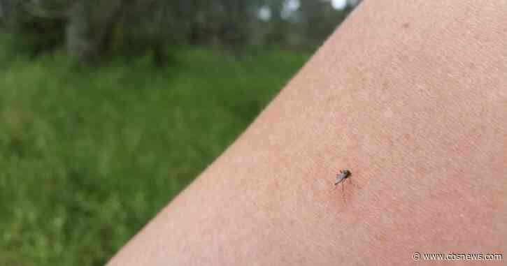 Four cases of malaria confirmed in Sarasota County, medical experts issue statewide advisory