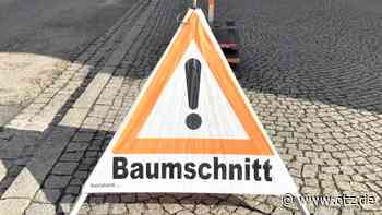 Einschränkungen durch Baumarbeiten in Jena
