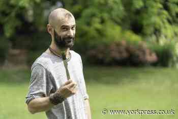 Make it York plans trail of Tansy beetles