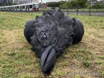 Roadkill crow sculpture at LeBreton Flats latest addition to Ottawa's public art scene