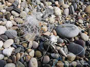Des pêcheurs laissent traîner hameçons et fils sur les plages, un élu hausse le ton dans cette commune de la Côte d'Azur