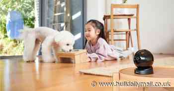 Home security round-up: We test three popular Imou cameras