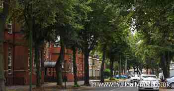 Woman 'pushed to the ground at knifepoint' in Hull before suspect 'takes keys and steals car'