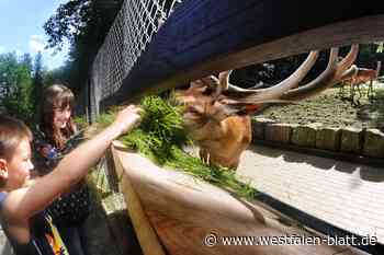 Liebe im Tierpark Bielefeld geht eben nicht durch den Magen