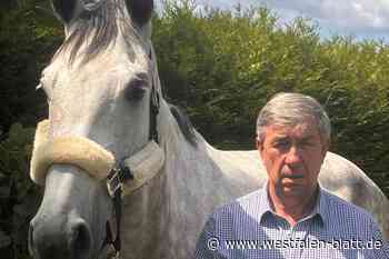 Helios-Klinikum Warburg entschuldigt sich bei verletztem Reiter