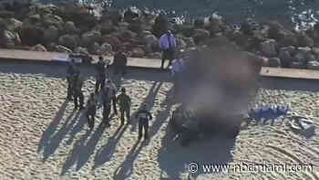 Broward deputy found dead was being investigated in possible sexual battery: Police