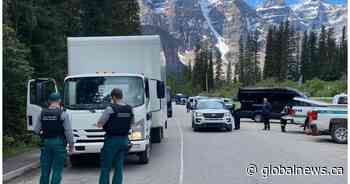 Nearly half of Moraine Lake buses tested failed inspection, pulled from road