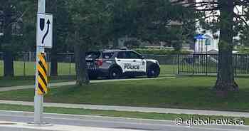 6-year-old girl bitten after two dogs ‘on the loose’ in Toronto: police