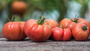 Pinkeln für einen guten Zweck: Pflanzen, die Sie im Garten mit Urin düngen können