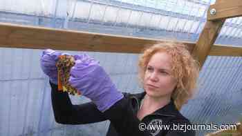 Creating a buzz: Georgia biotech company picks up another $4.5M for honeybee vaccine