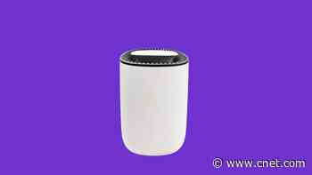 Make Sure Your Air Purifier Is Clean So It Works Properly During Wildfire Season     - CNET