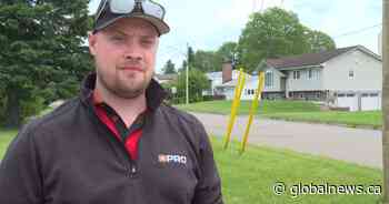 Million-dollar housing development stalled due to smell from shell-drying plant in Richibucto, N.B.