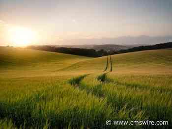 5 AI Jobs Poised to Change Marketing Landscape