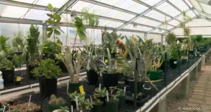 Albuquerque's greenhouse hopes to get more community involvement