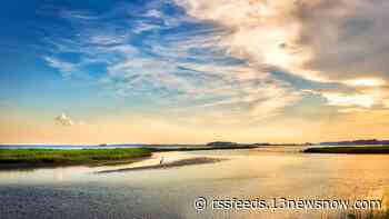 Chesapeake Bay's 'dead zone' predicted to be more than 30% smaller than the long-term average