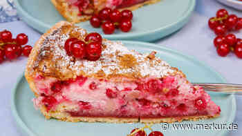 Endlich Johannisbeeren-Saison: Schwäbischer Träubleskuchen so saftig und fluffig wie bei Oma