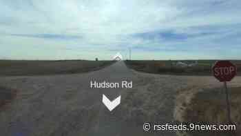 Dead horse found tied to telephone pole