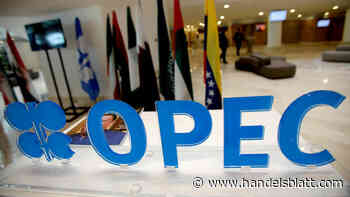 Medien: Insider: Opec verweigert Reuters und anderen Medien Zugang zu Veranstaltung