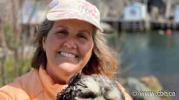 She couldn't find a rental in N.L. So she spent 2 years living in a 20-foot RV