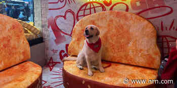 Meet the newest chain to enter NYC