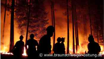Wie entstehen Waldbrände?