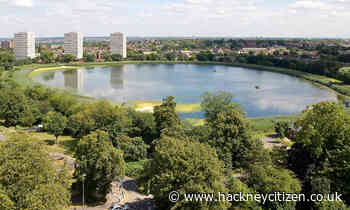 Campaigners hail council’s ‘ambitious and urgent’ new greenprint for Hackney